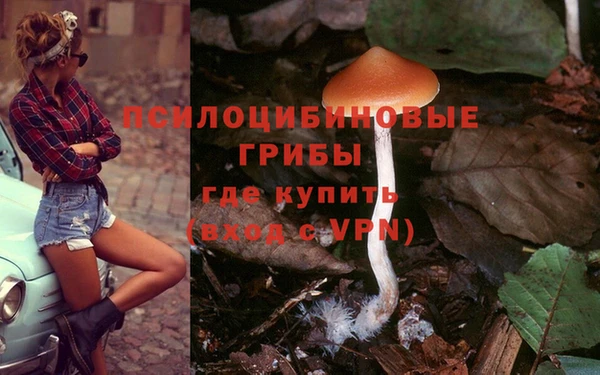 a pvp Абдулино